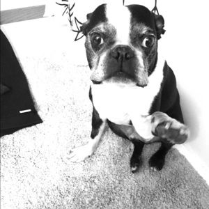 Meet your Posher, Jerrin